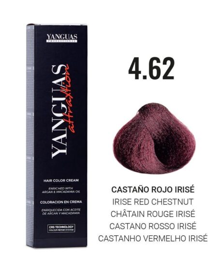 TINTE ATTRAXTION Nº4.62 100ML YANGUAS