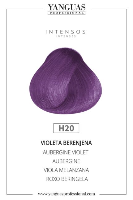 HIDRACOLOR H20 YANGUAS 100ML